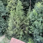 Baba Yaga * Deutsch Goritz
