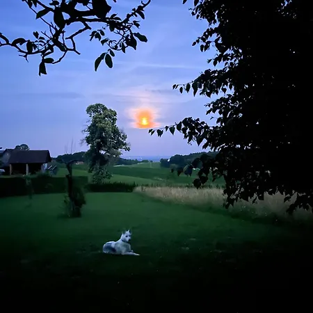 Privat bolig Baba Yaga Deutsch Goritz