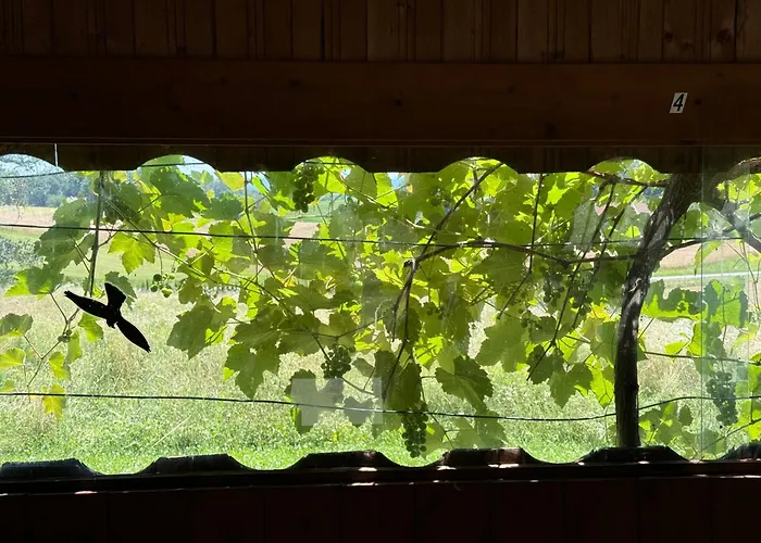 Baba Yaga בית אירוח