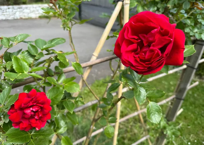 Baba Yaga Accommodatie bij particulieren Deutsch Goritz